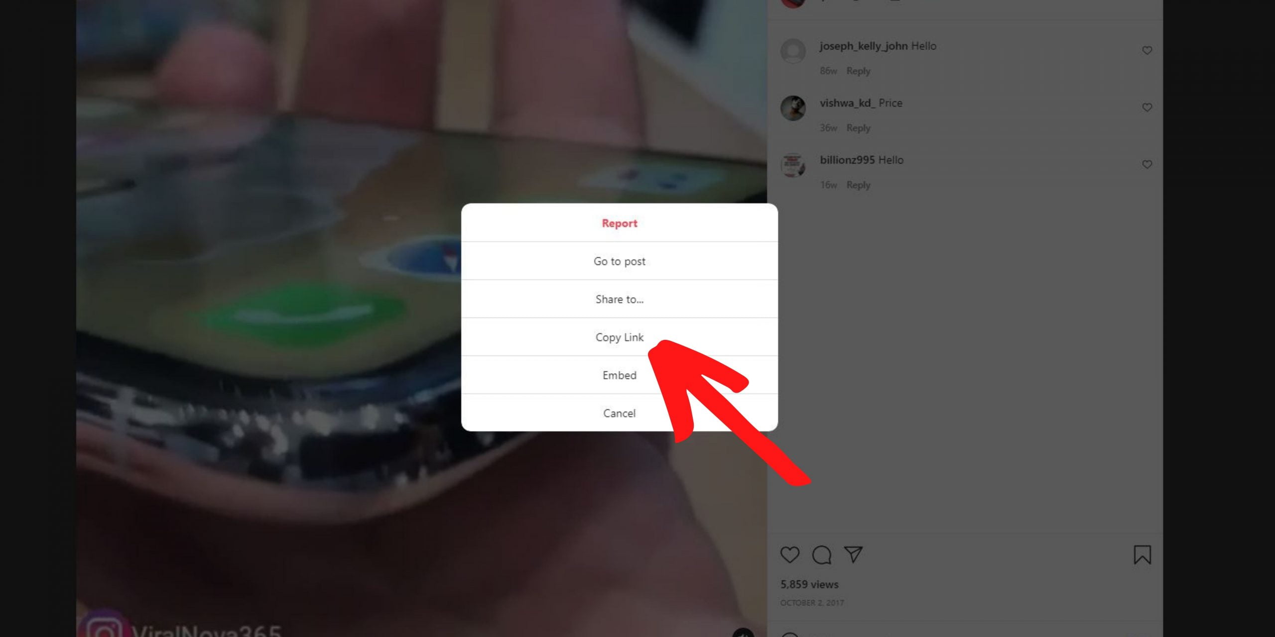 Instagram Story Downloader